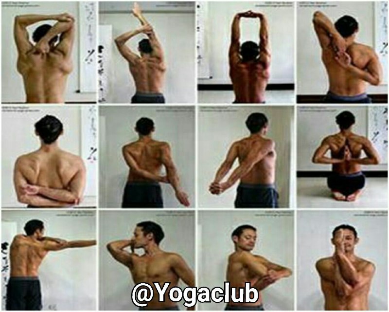 آموزش یوگا تصویر و عکس آموزشی یوگا بهترین حرکات یوگا برای درد کمر و تناسب اندام ورزش یوگا